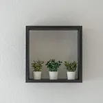 Le Cocon Verdoyant 툴루즈