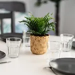 Le Cocon Verdoyant 아파트