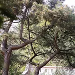 Appartamento Le Cocon Verdoyant *