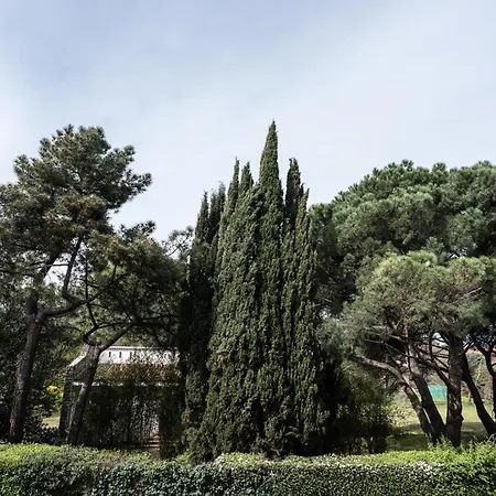 Le Cocon Verdoyant *