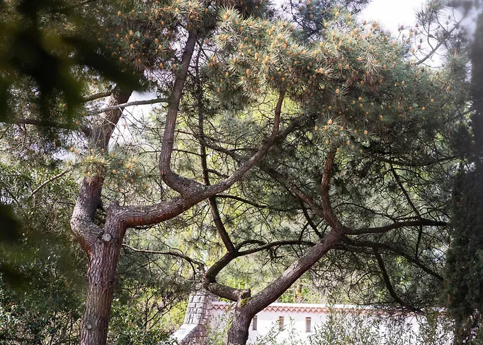 Apartment Le Cocon Verdoyant *