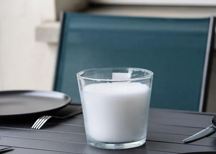 Le Cocon Verdoyant * Toulouse