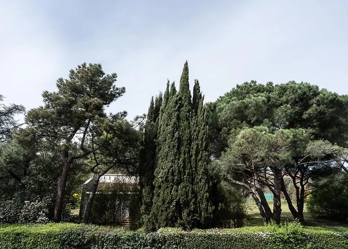 Le Cocon Verdoyant *